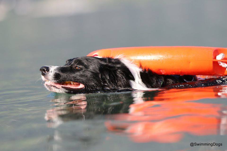 119943460 2219671278178568 3809994114306125326 n