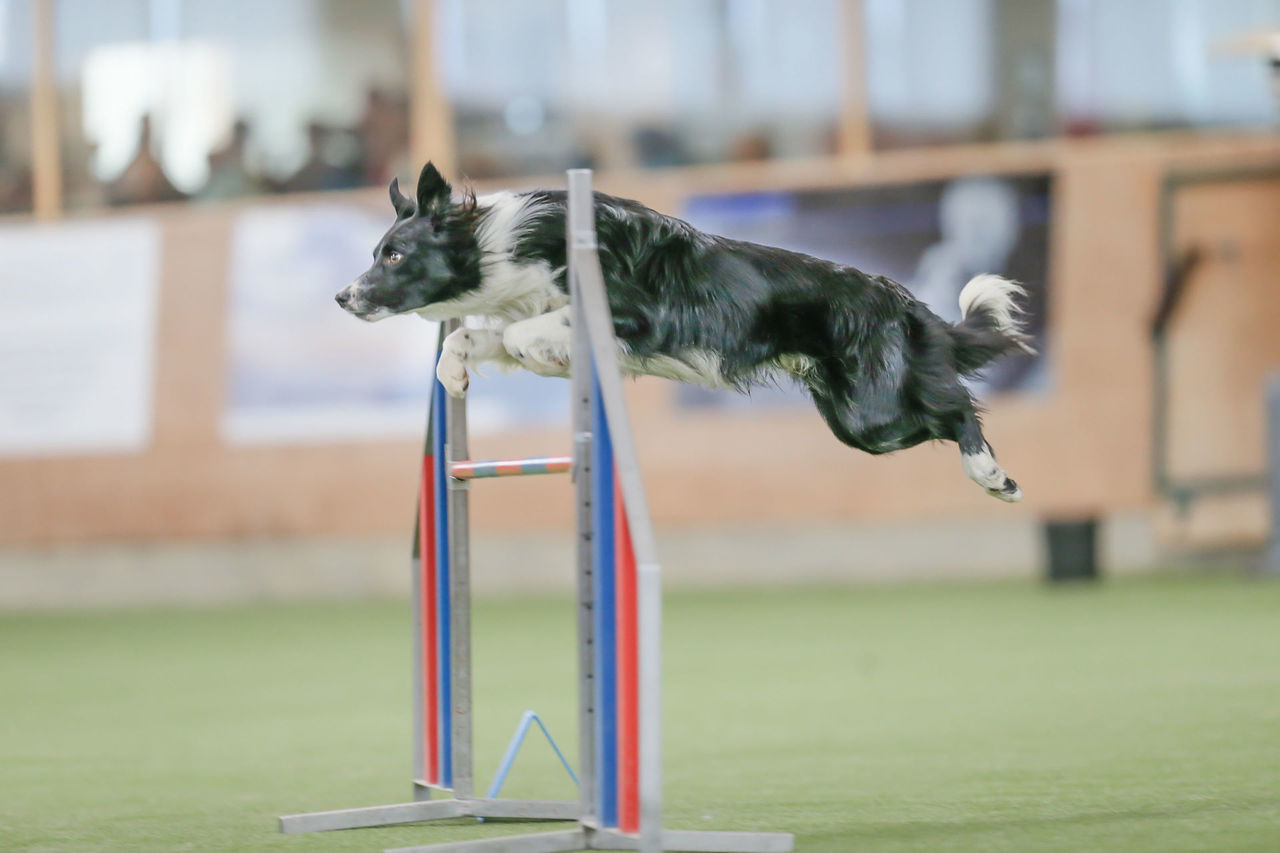 17 02 04 Kaiseraugst